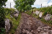 _DSC2086