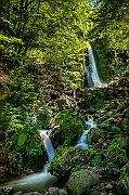 _DSC2130