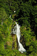 _DSC2242