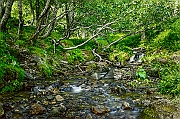 _DSC2300-1_RT