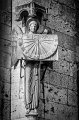 _DSC3713