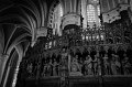 _DSC3756