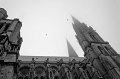 _DSC3824
