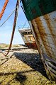 _DSC2550