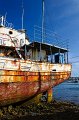 _DSC2551