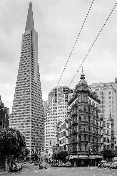 _DSC5418.jpg