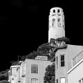 _DSC5519