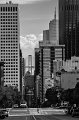 _DSC5719