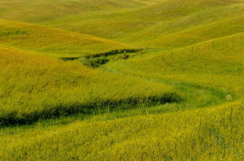 _DSC1107.jpg