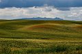 _DSC0904