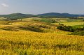 _DSC0973
