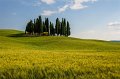 _DSC1110