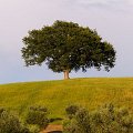 _DSC1435