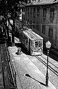 _DSC0037-Modifier_R