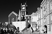 _DSC0171-Modifier_R