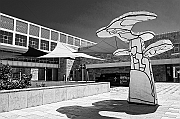 _DSC0469-Modifier_R