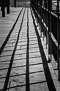 _DSC0929_R