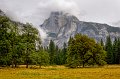 _DSC5896_DxO