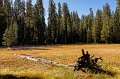 _DSC5913_DxO