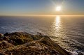 _DSC6337