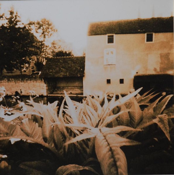 stenope_lith1.jpg