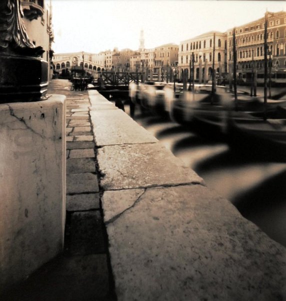 stenope_sepia1.jpg