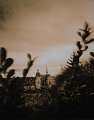 stenope_lith2