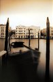 stenope_sepia2