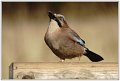 PG_DSC00389