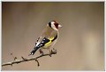 PG_DSC00433