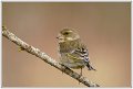 PG_DSC00450