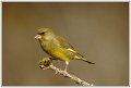 PG_DSC00451
