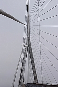 PhG10-DSC_4185