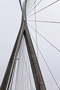 PhG11-DSC_4186