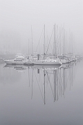 PhG12-DSC_4165