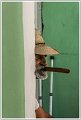 2-PhG-DSC_7133