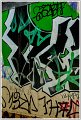 8-PhG-DSC_0072