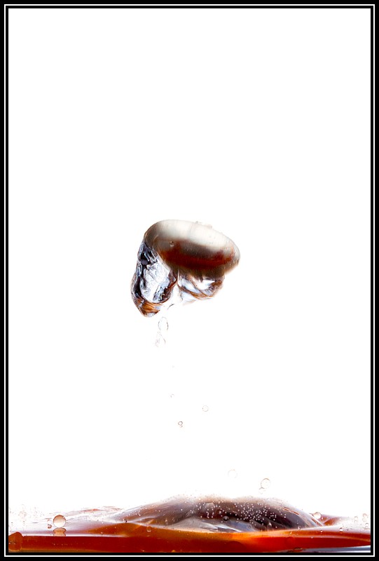 TP_liquid-10-TP.jpg