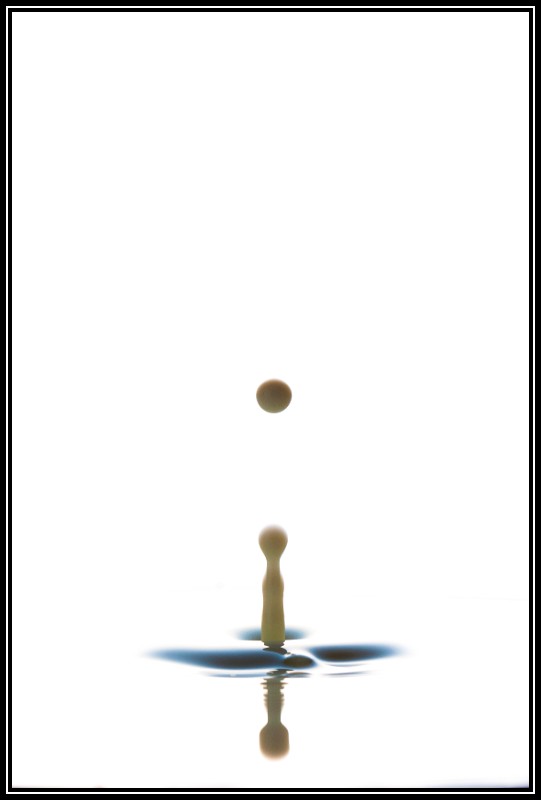TP_liquid-12-TP.jpg