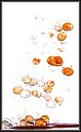 TP_liquid-1-TP