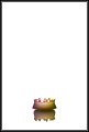 TP_liquid-9-TP