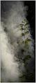 _A310142bis-BorderMaker