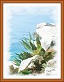 Nazare-border