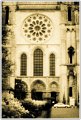 OD_DSC8015