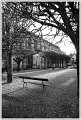 BG_TEAM1-Mixte-7