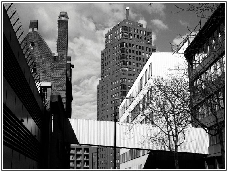 CJ-var-Rotterdam-lightroom.jpg
