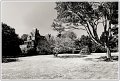OD-Variation-_DSC2743-4