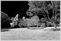 OD-Variation-_DSC2743