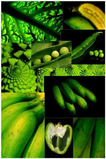 couleur vert